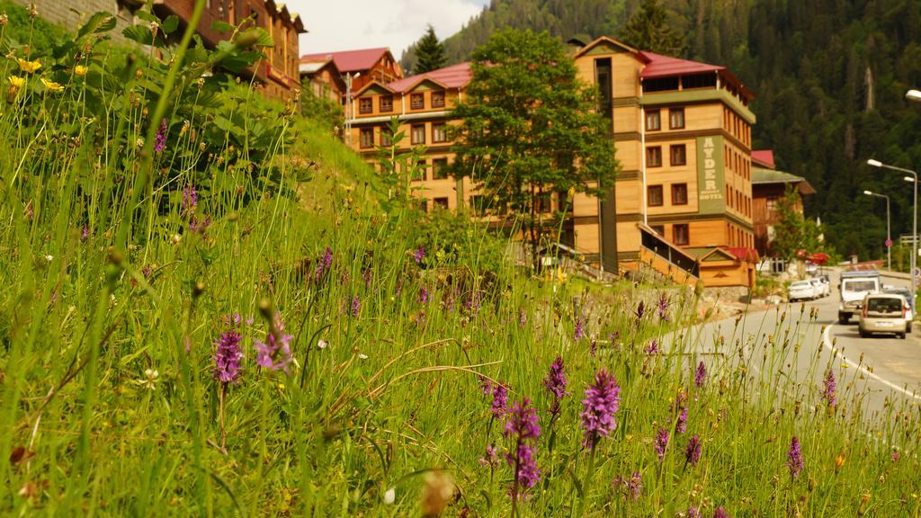 ריזה Ayder Resort Hotel מראה חיצוני תמונה